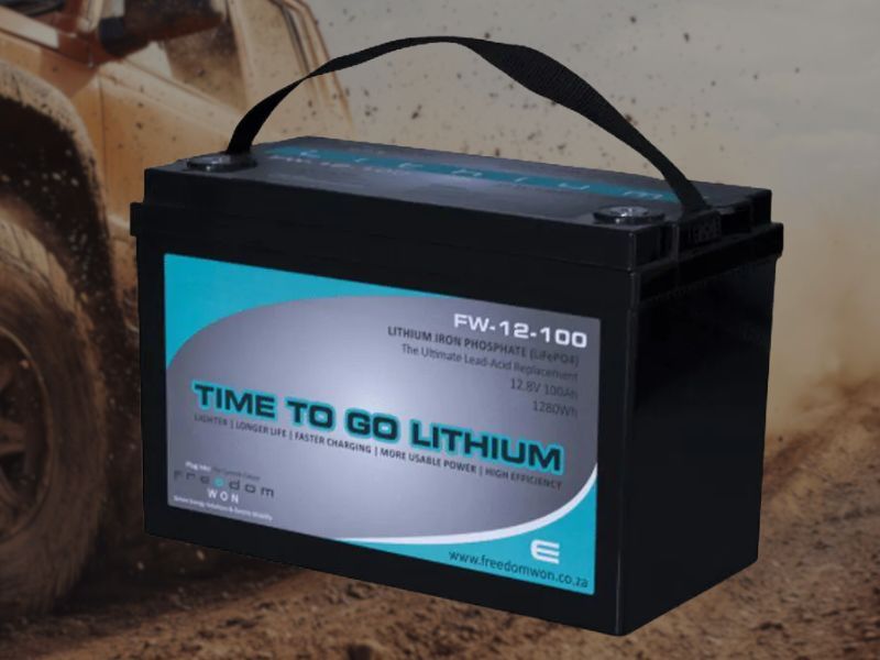 FreedomWon 12v 100ah FW12-100