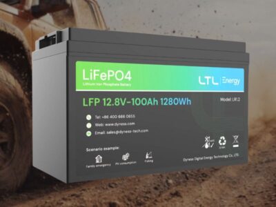 Dyness LFP 12.8V-100Ah 1280Wh Lithium ion Battery